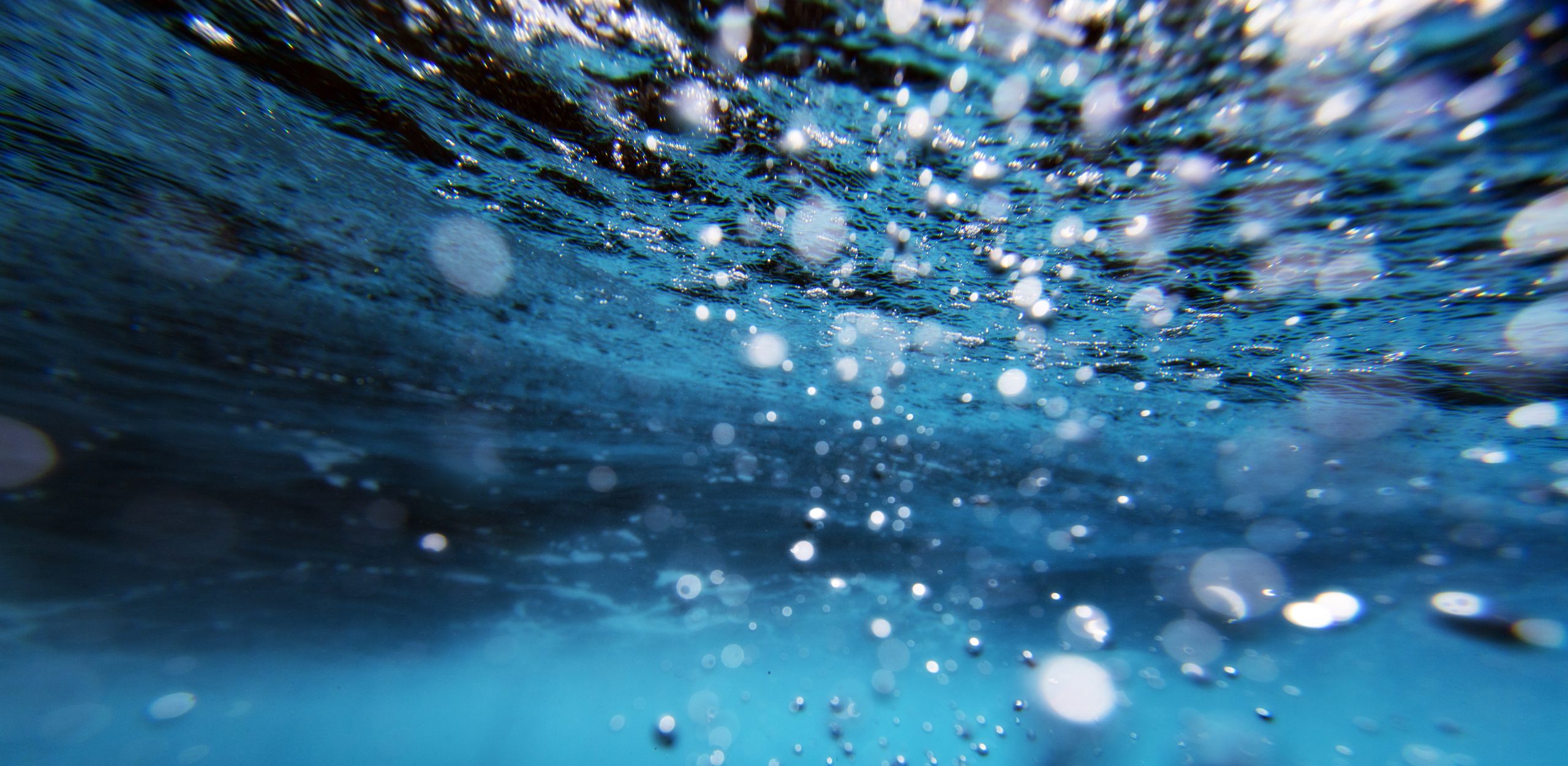 Underwater with bubbles floating to surface