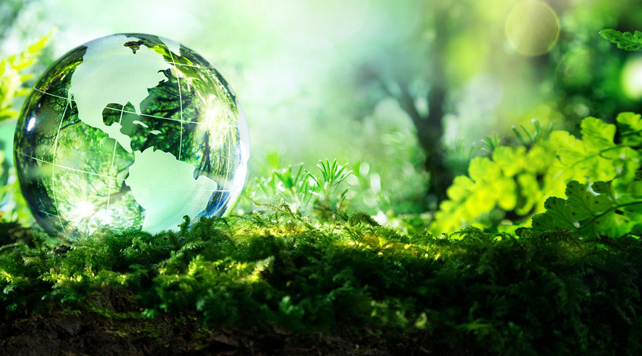 A small crystal globe on the forest floor. Sunlight streams down.